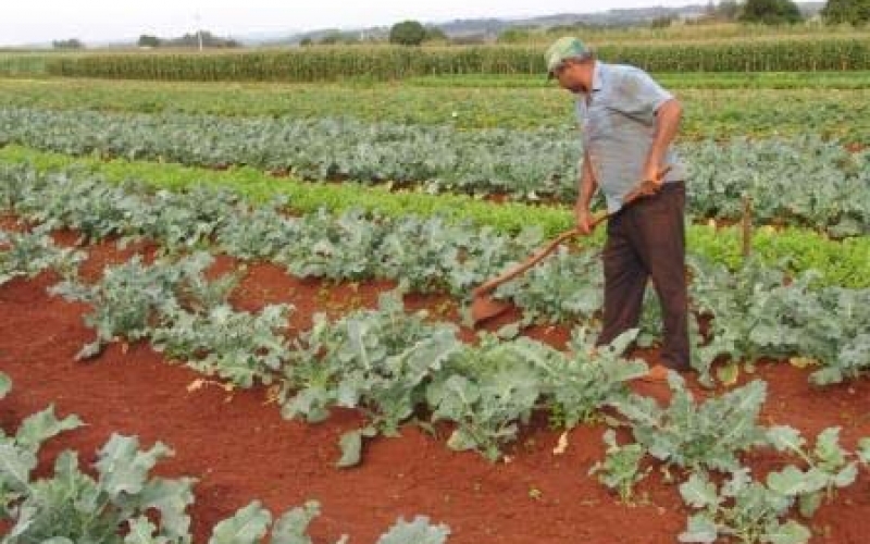 Parceria entre Prefeitura e Emater já auxiliou 287 agricultores em 2011