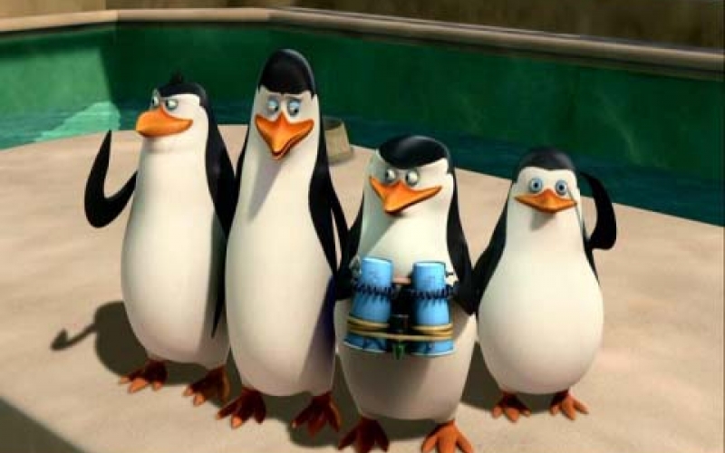 “Os Pinguins de Madagascar” segue em cartaz no Cine Teatro