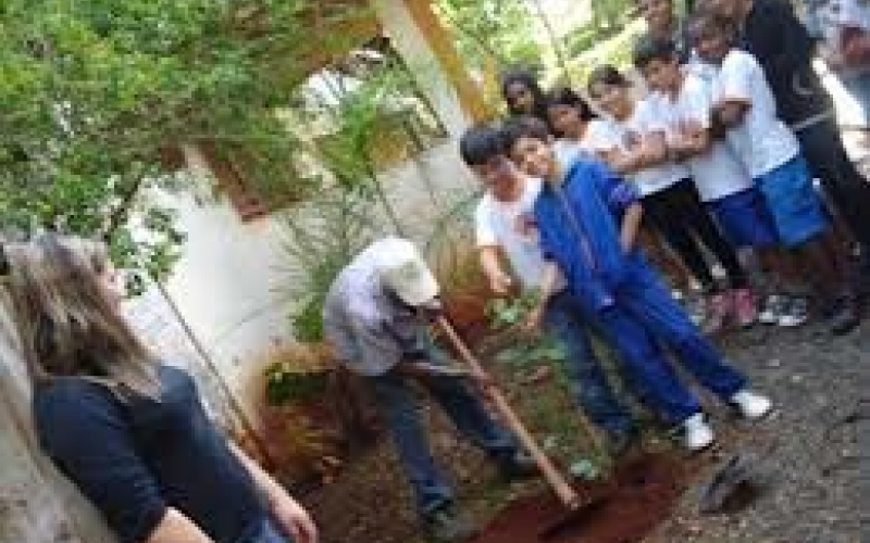 Escola Aldivina comemora o Dia da Árvore