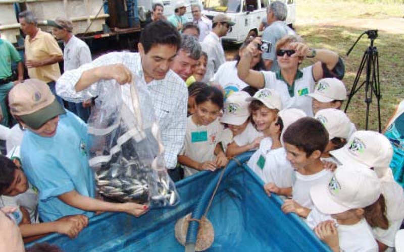 Prefeitura soltou mais 300 mil peixes no Tibagi