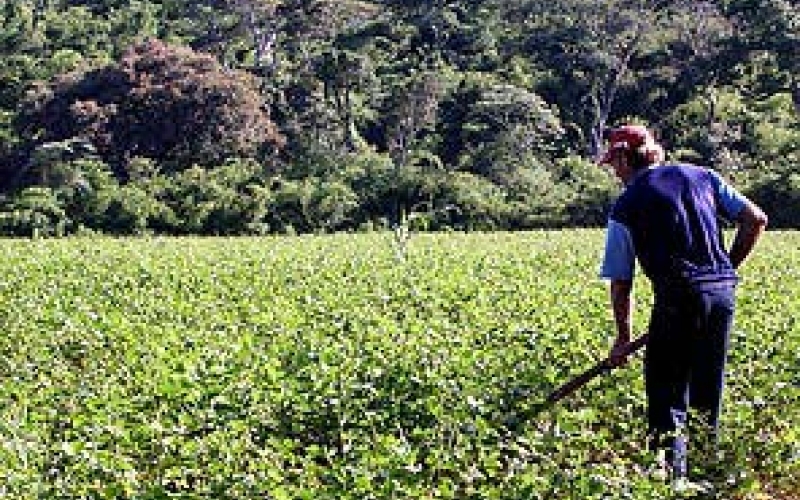 Atenção agricultores de Ibiporã: CCIR deve ser pago até dia 28 de janeiro