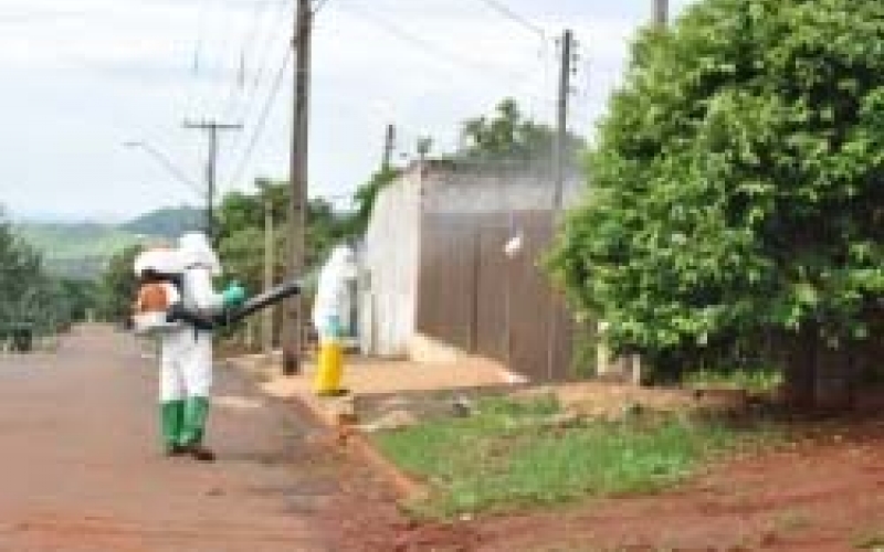 Prefeitura de Ibiporã abre processo seletivo para agente sanitário