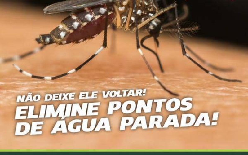Combate à dengue deve ser reforçado na primavera